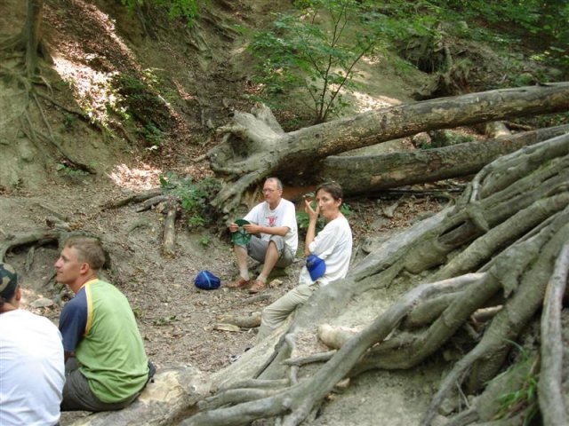DSC05852 (Medium)